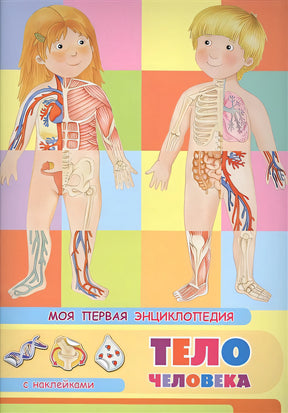 Обложка Тело человека. Моя первая энциклопедия с наклейками 978-5-465-03886-7