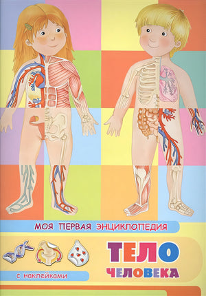 Обложка Тело человека. Моя первая энциклопедия с наклейками 978-5-465-03886-7