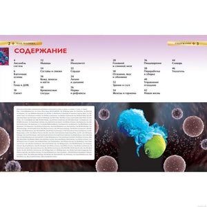 Детская энциклопедия Тело человека: содержание