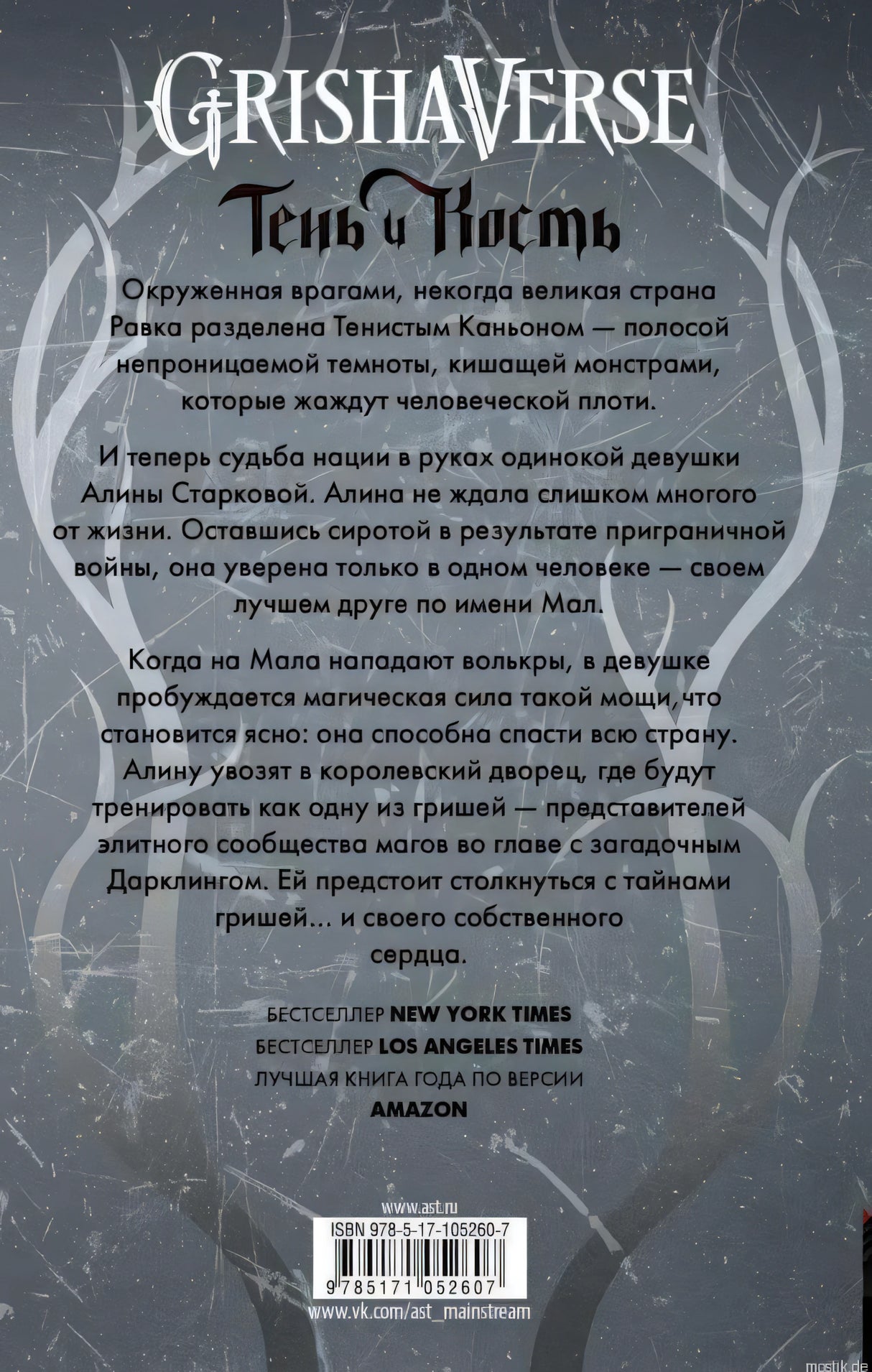 Задняя обложка книги "Тень и кость" Ли Бардуго