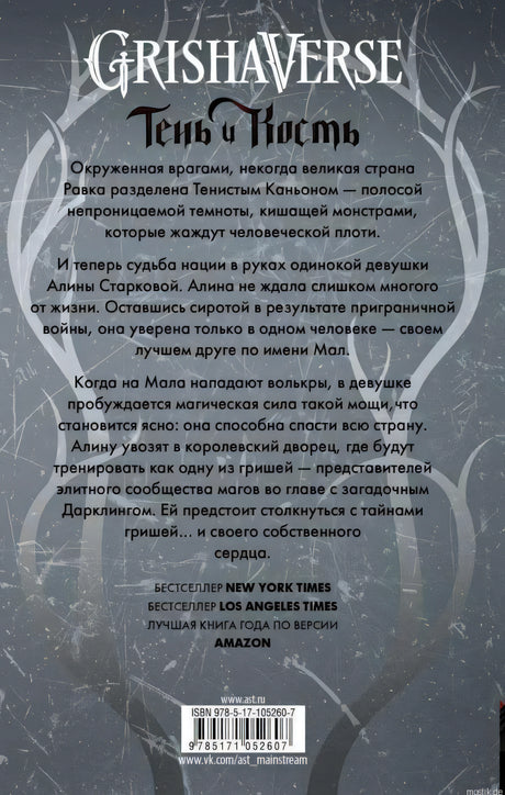 Задняя обложка книги "Тень и кость" Ли Бардуго