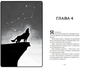 Терра и тайна созвездий null - 7