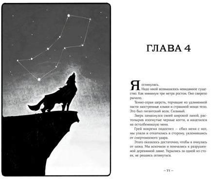 Терра и тайна созвездий null - 7