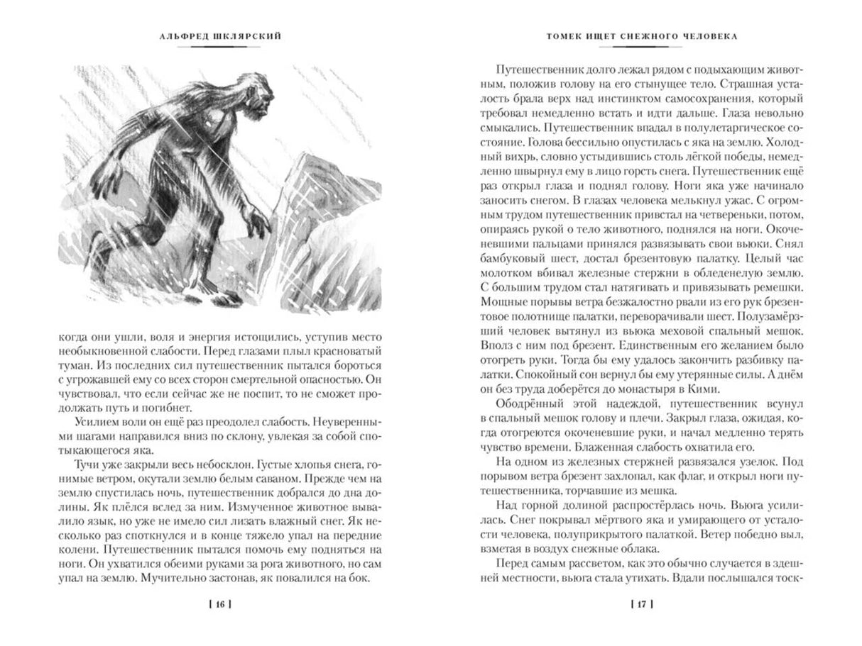 Книжный разворот со страницами 16–17 и рисунком волка в горах.