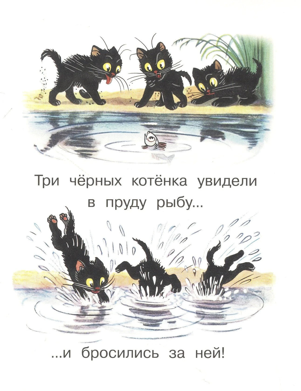 Три чёрных котёнка увидели в пруду рыбу и бросились за ней