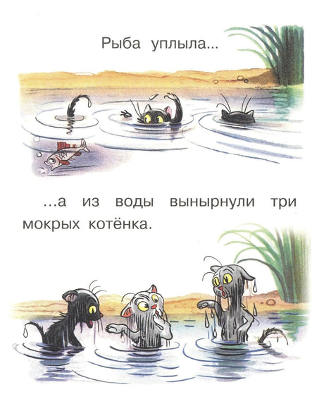 Рыба уплыла, из воды вынырнули три мокрых котёнка