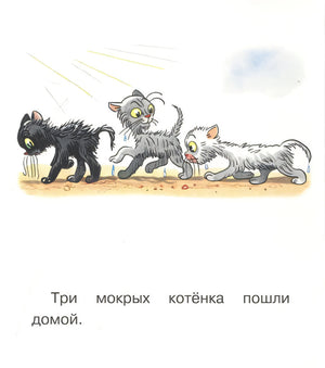 Три мокрых котёнка пошли домой
