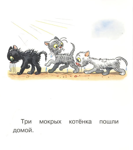 Три мокрых котёнка пошли домой