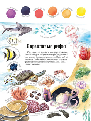 Цвета окружающего мира 9786013389417