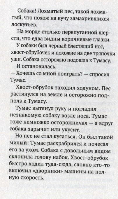 Страница с текстом о знакомстве Тумаса с лохматой собакой.
