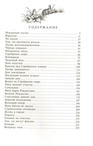 Страница содержания с перечнем глав книги «У Серебряного озера»