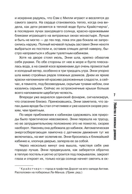 Убийства в пляжных домиках. Детективное агентство - Благотворительный магазин null - 5