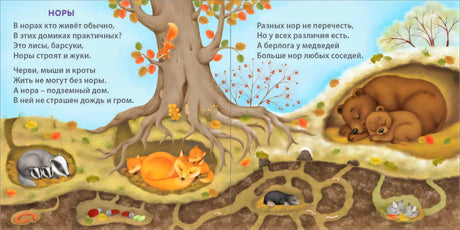 Книжки - картонки.  Удивительные дома животных 978-5-4366-0786-3 - 3