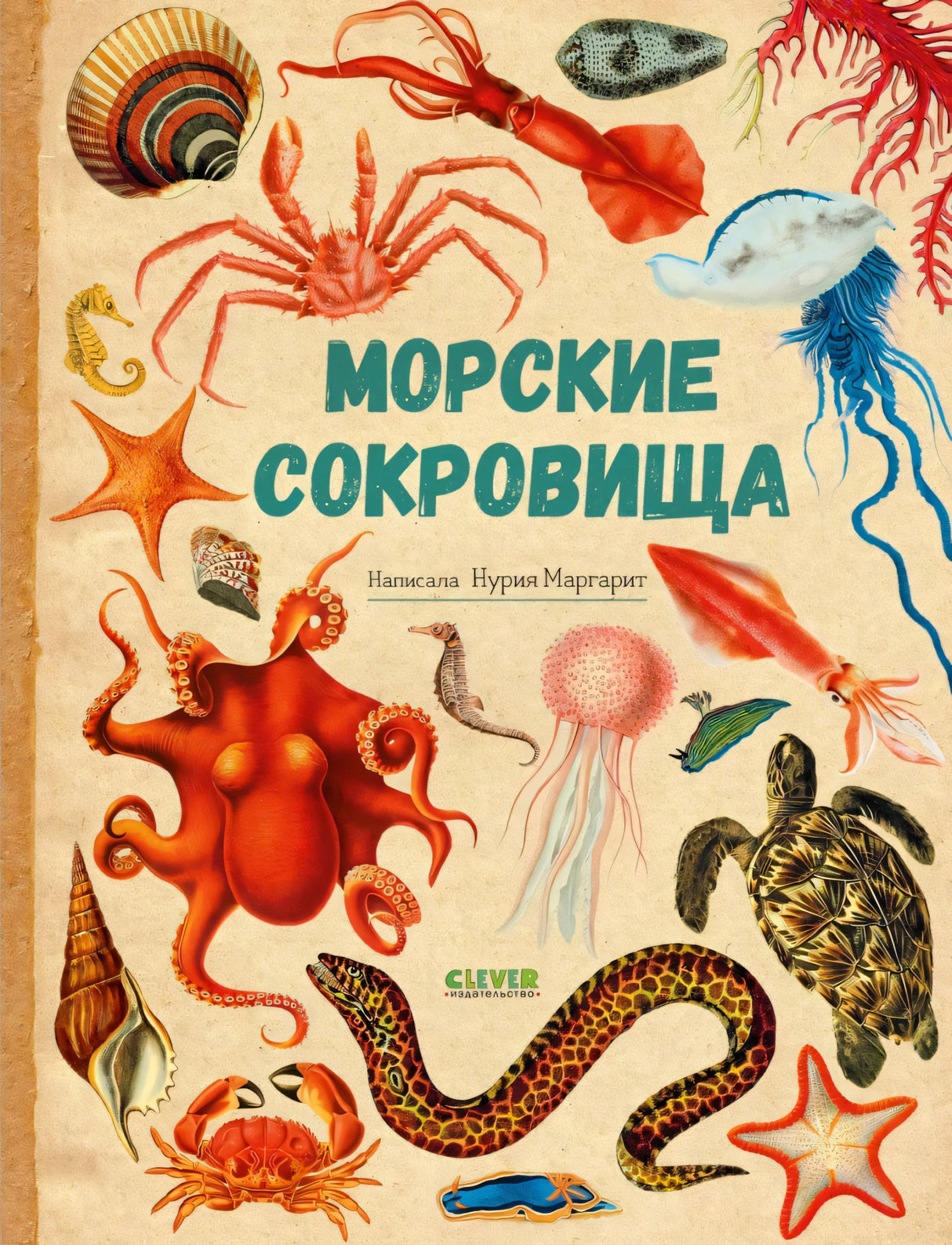 Удивительные энциклопедии. Морские сокровища null - 0