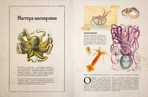 Удивительные энциклопедии. Морские сокровища 9785002522309