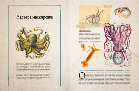 Удивительные энциклопедии. Морские сокровища 9785002522309