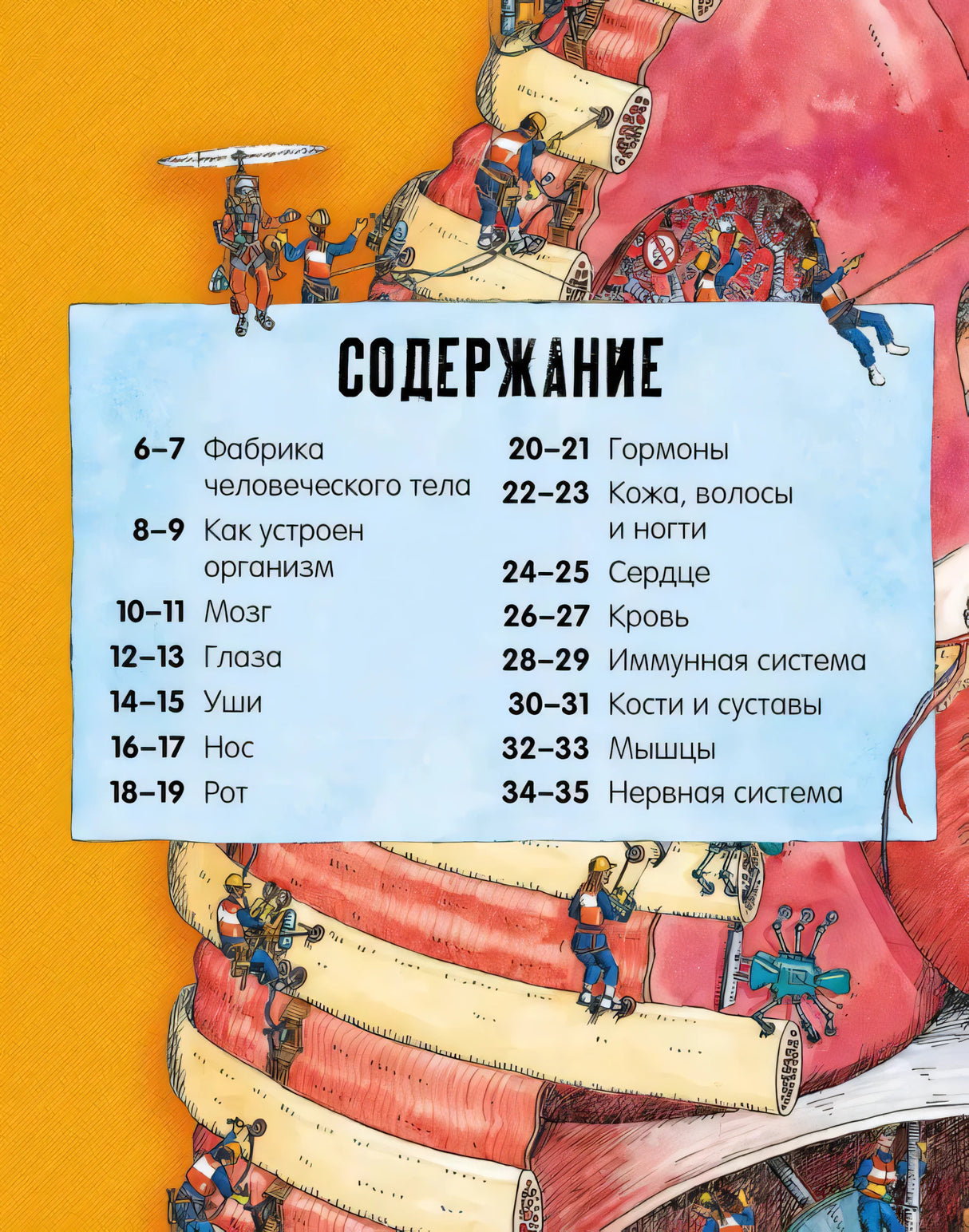 Удивительные энциклопедии. Невероятное тело человека.