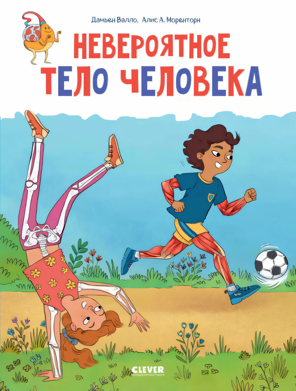 Удивительные энциклопедии. Невероятное тело человека