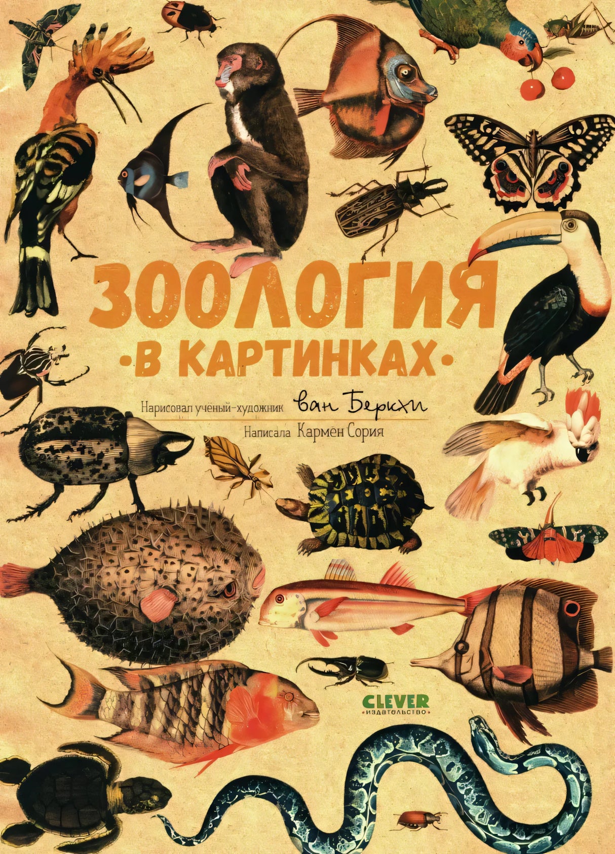 Удивительные энциклопедии. Зоология в картинках