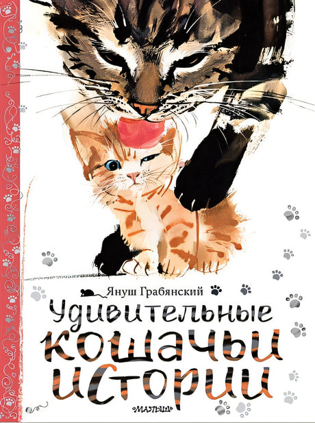 Обложка Удивительные кошачьи истории 978-5-17-133904-3