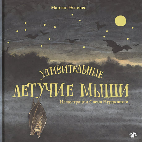 Обложка Удивительные летучие мыши 978-5-00114-103-7