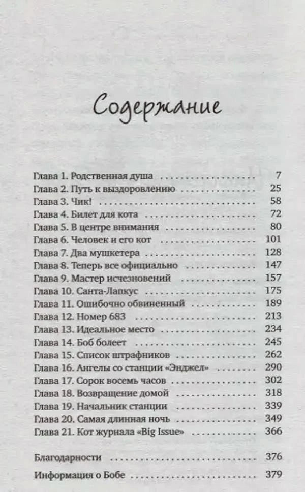 Страница содержания с перечнем глав и номерами страниц