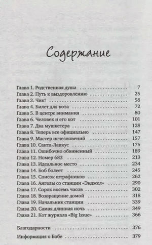 Страница содержания с перечнем глав и номерами страниц