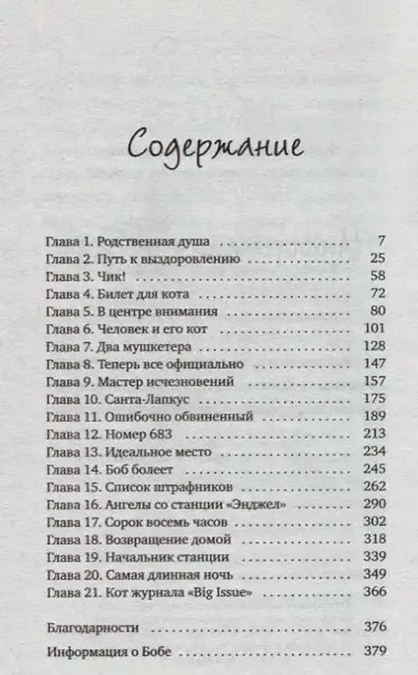 Страница содержания с перечнем глав и номерами страниц