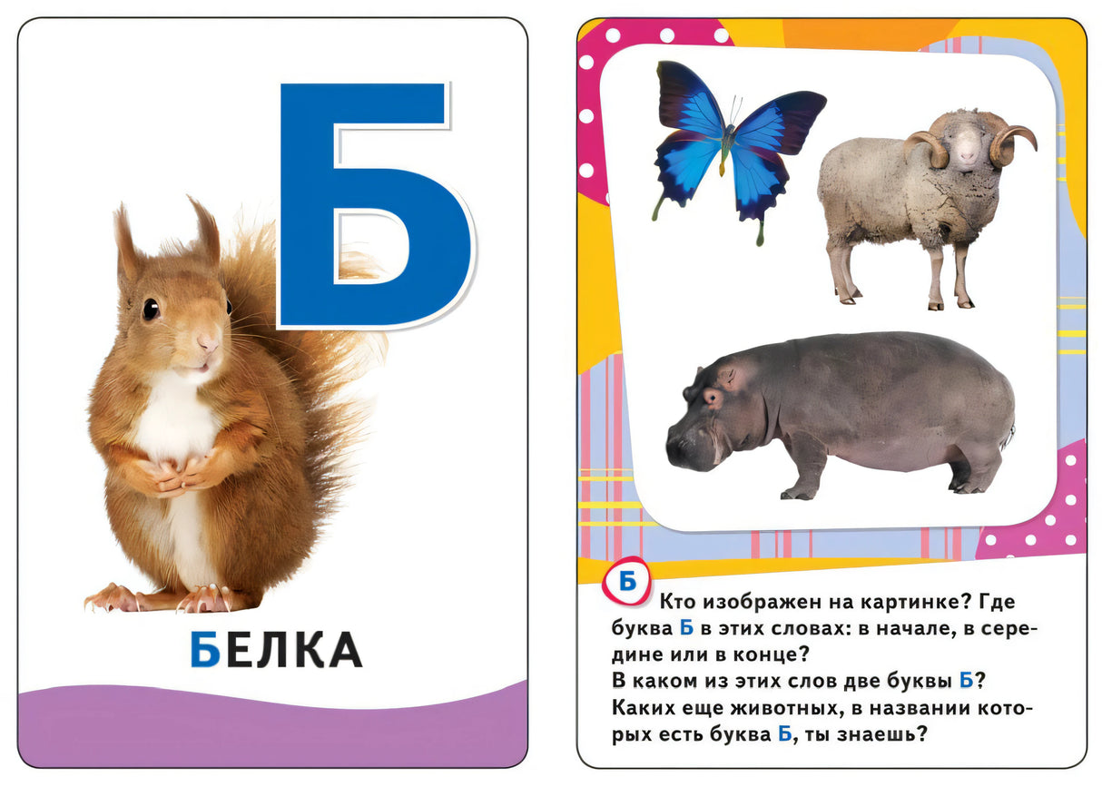 Карточки с буквой Б: белка, бабочка, баран, бегемот