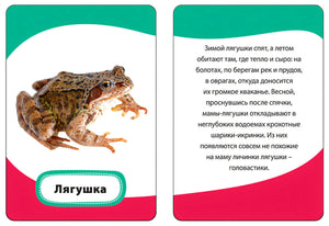 Умные карточки. Мамы и малыши 4680010499917 - 1