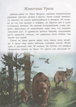 Страница «Животные Урала» с текстом и рисунками медведя, волка, дятла и зяблика