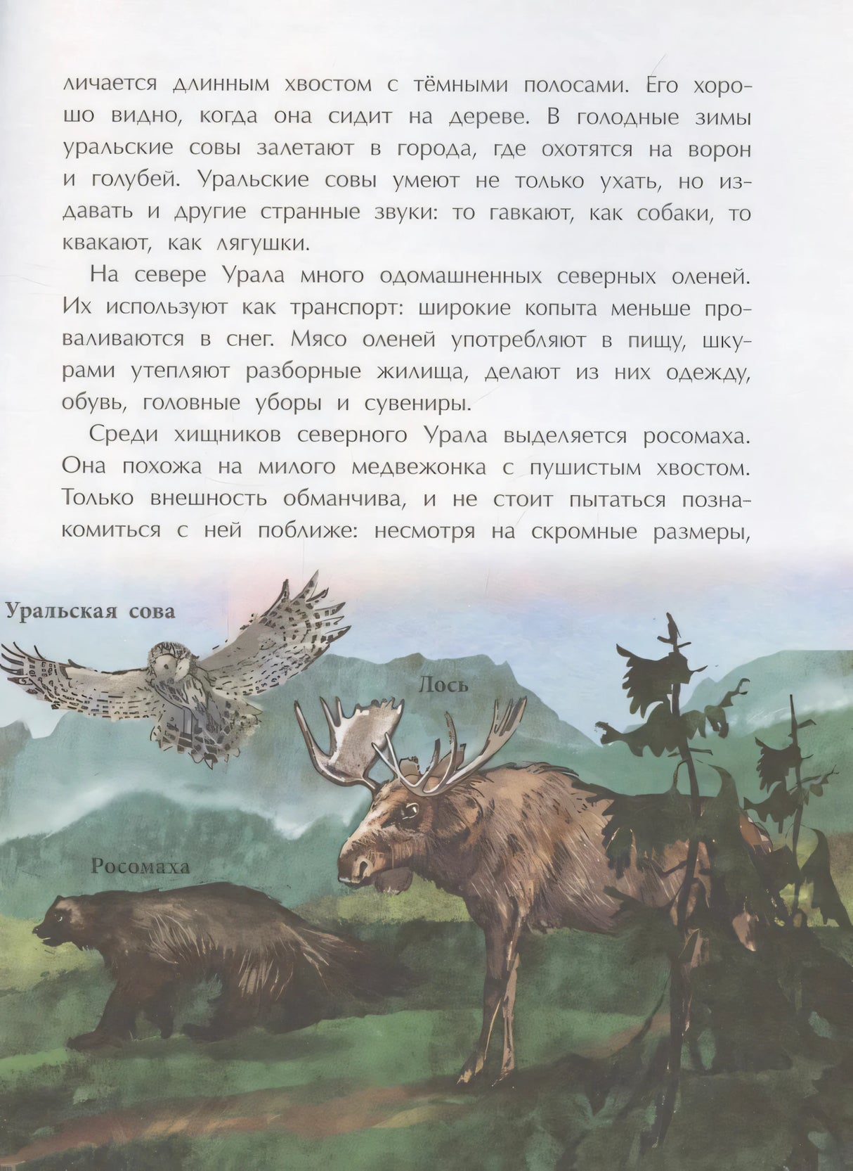 Страница о животных Урала с рисунками уральской совы, росомахи и лося