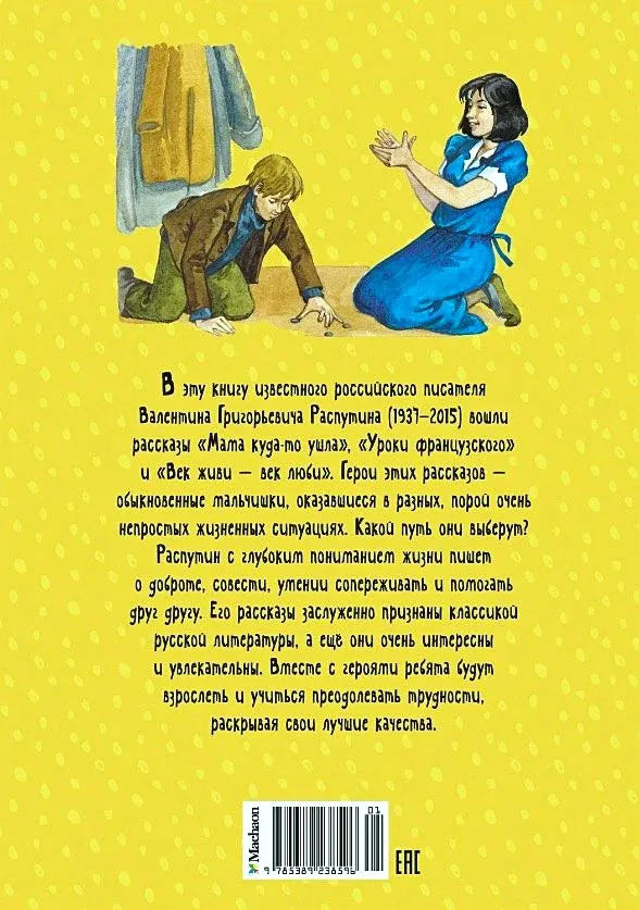Задняя обложка с аннотацией, иллюстрацией и штрихкодом.