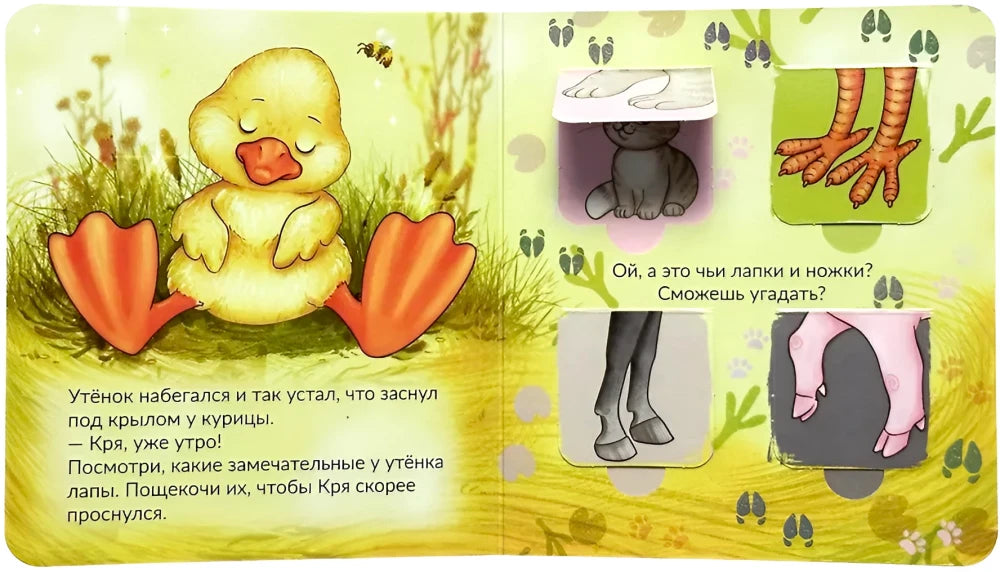 Разворот с уснувшим утёнком Кря и окошками-заданиями на угадывание лапок.