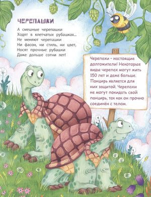 Страница «Черепашки» с двумя черепахами, шмелем и справкой на табличке