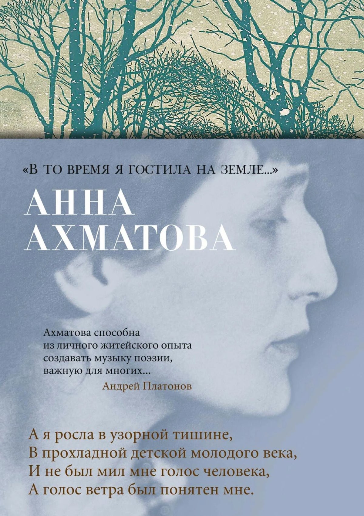 Передняя обложка книги Анны Ахматовой «В то время я гостила на земле…».
