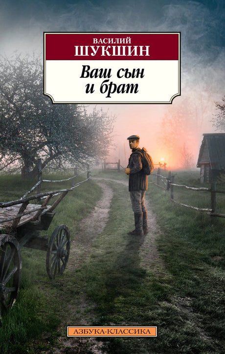 Обложка «Ваш сын и брат» Василия Шукшина: мужчина на дороге у деревни на рассвете.