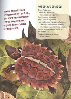 Великолепная десятка. Черепахи 978-5-6044832-8-2 - 1