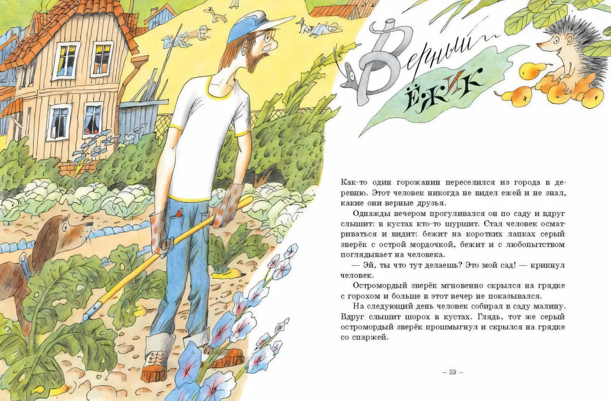Разворот с иллюстрацией садовника и началом сказки «Верный ёжик», страница 39