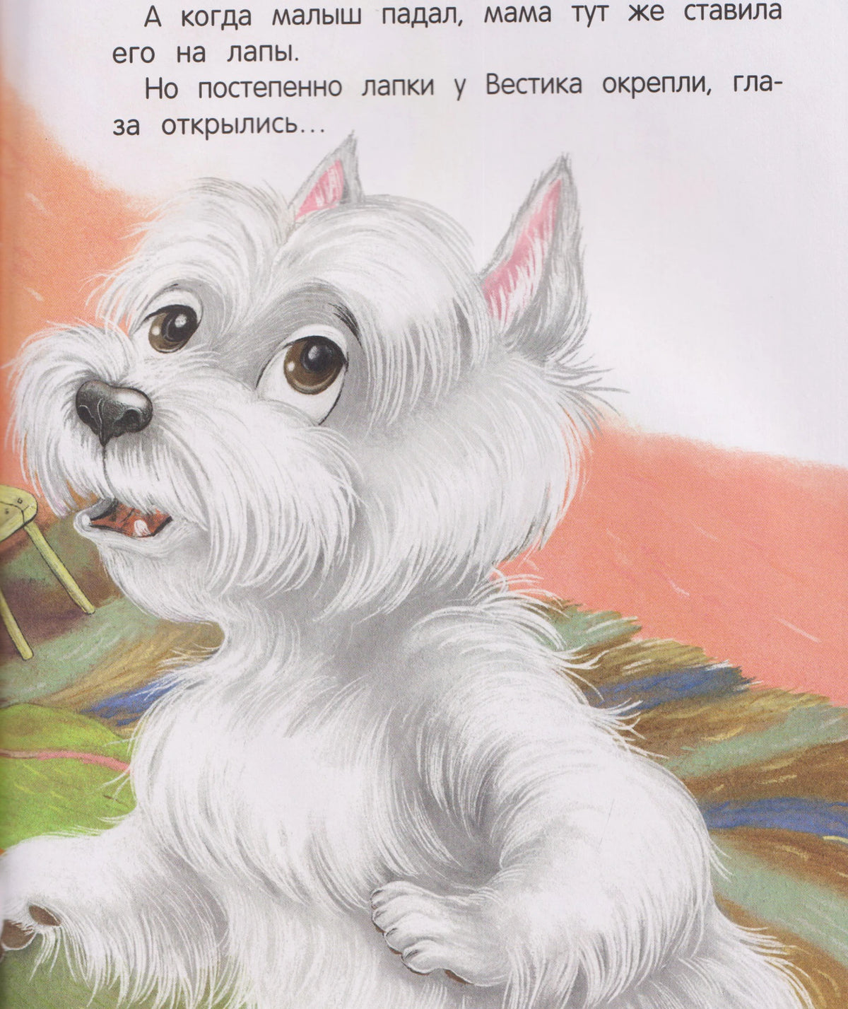 Страница книги с иллюстрацией подросшего белого щенка
