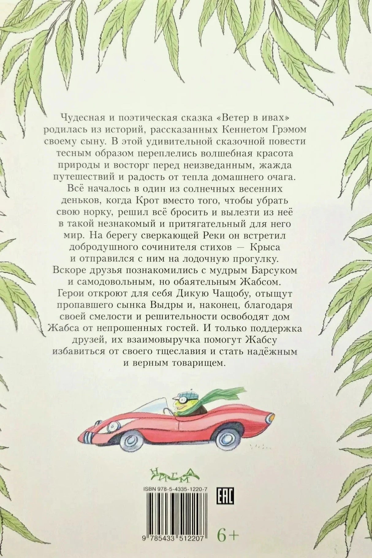 Задняя обложка с аннотацией, машинкой, штрихкодом и пометкой 6+