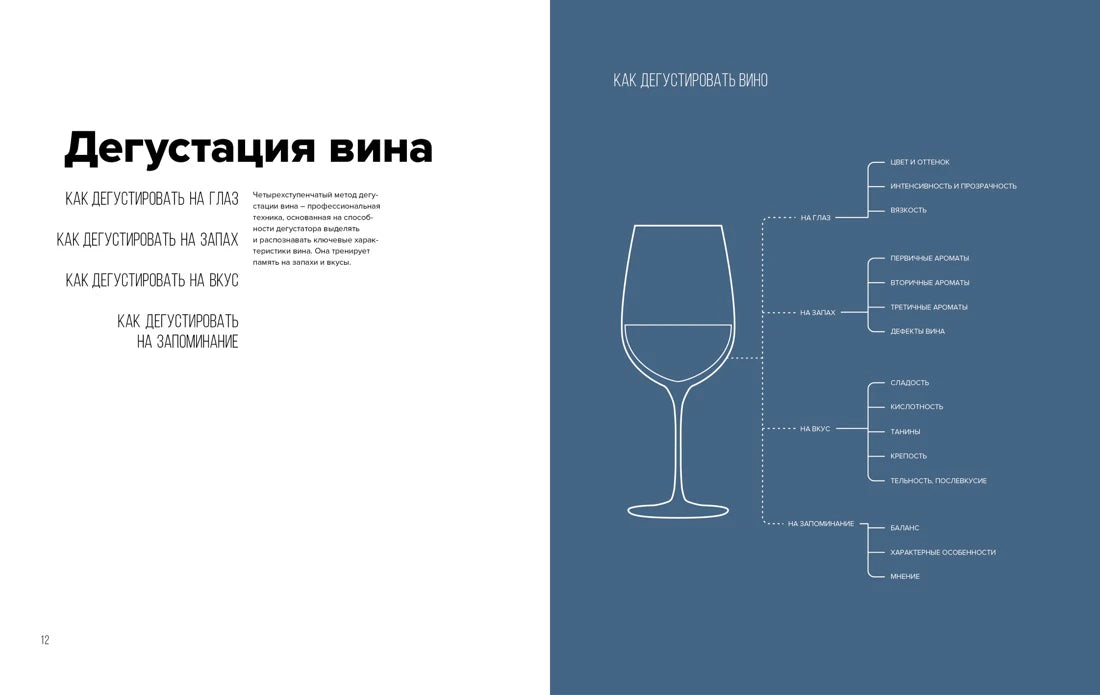 Разворот страниц 12–13 «Дегустация вина» со схемой