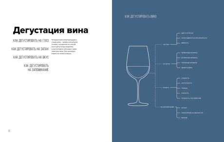 Разворот страниц 12–13 «Дегустация вина» со схемой