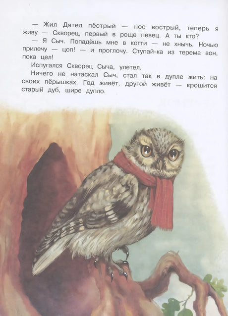 Иллюстрация совы в красном шарфе