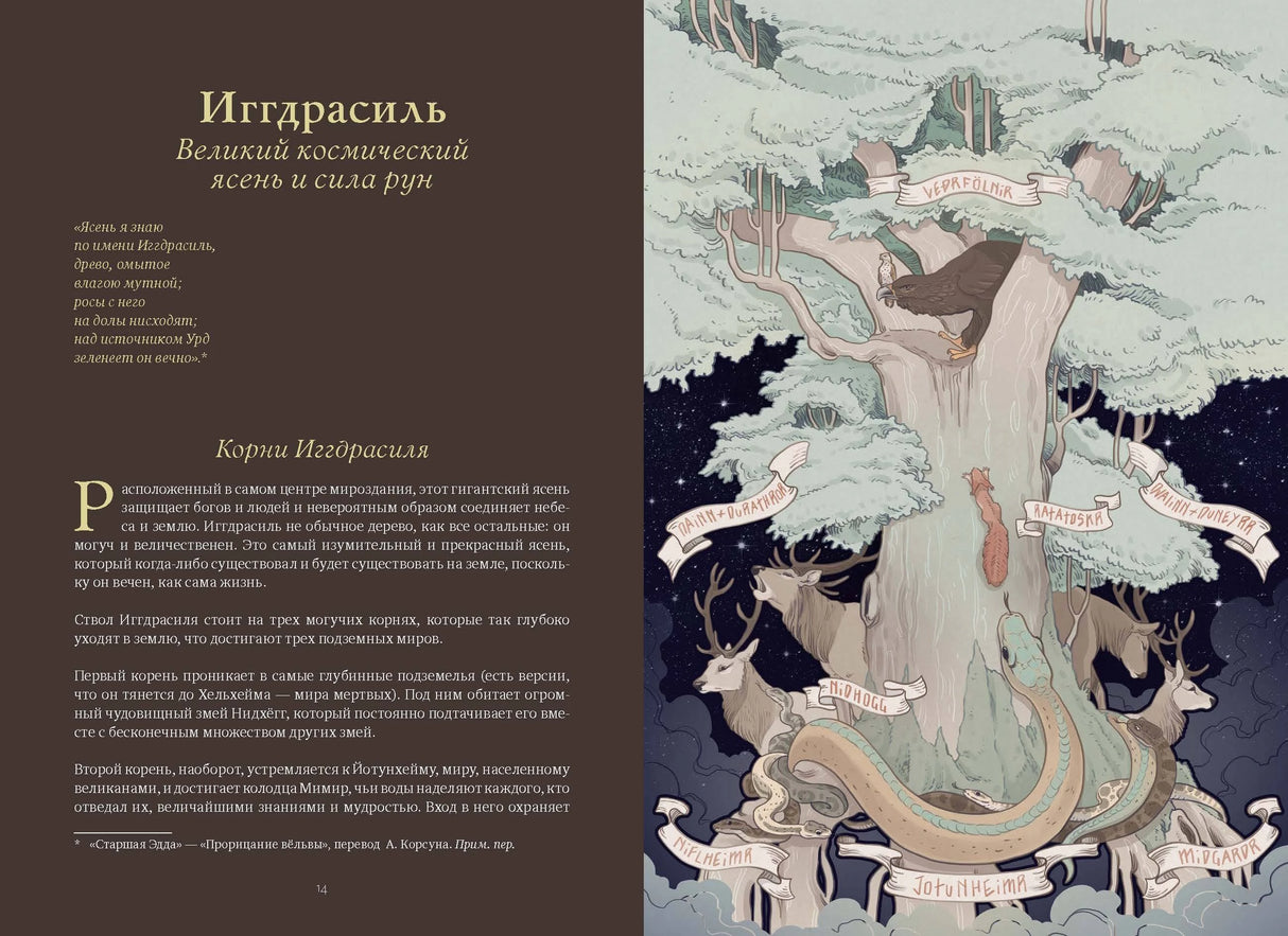 Волшебные и страшные  мифы леса. От феникса до Иггдрасиля 9785002145232