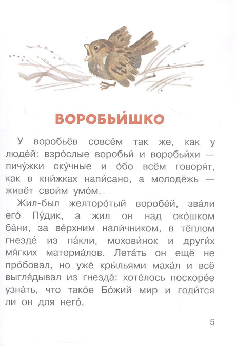 Страница 5 сказки «Воробьишко» с текстом и рисунком птенца