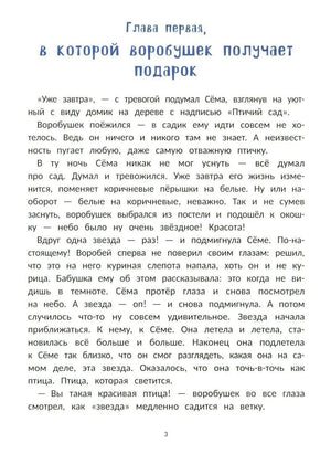 Начало первой главы «В которой воробушек получает подарок», страница 3.