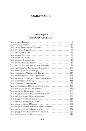 Содержание книги, первая часть, стр. 731