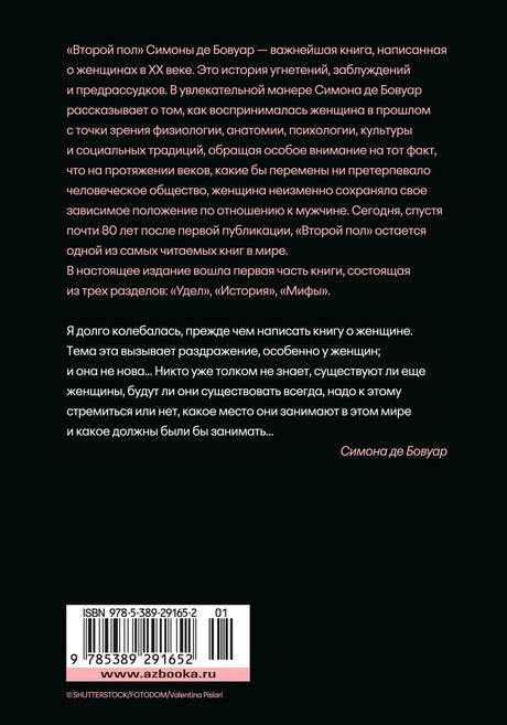 Задняя обложка с аннотацией, цитатой и штрихкодом