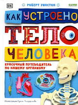 Удивительные энциклопедии. Как устроено тело человека. Красочный путеводитель по нашему организму